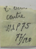 Rubis / pierre de centre d'origine sous papier de soie (dim. 77/120) - HS (H. Sandoz & Fils / Henschoz SA) - HSP 75 / Pierre de centre (77/120)